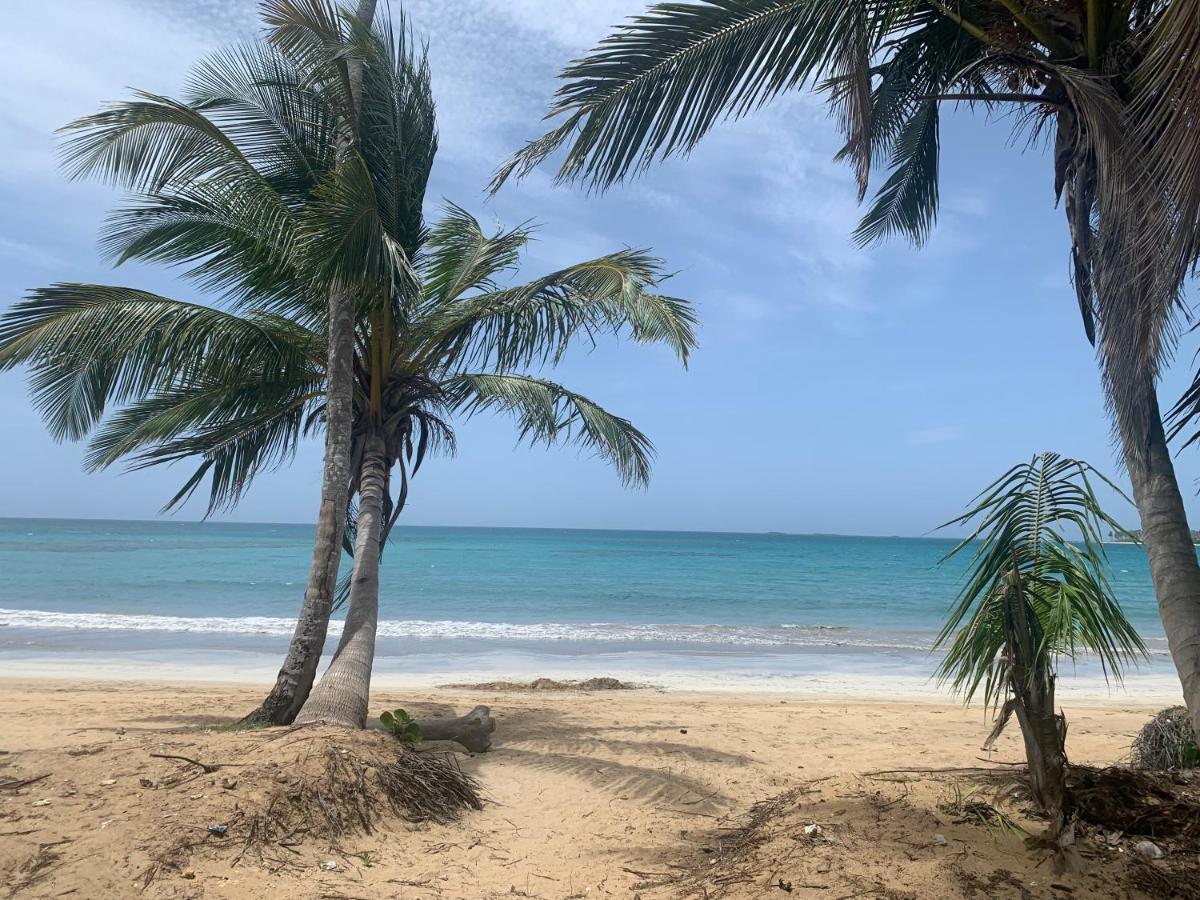 Caribbean Domicile Apartment Las Terrenas Exterior photo